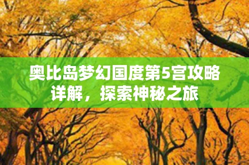 奥比岛梦幻国度第5宫攻略详解图片