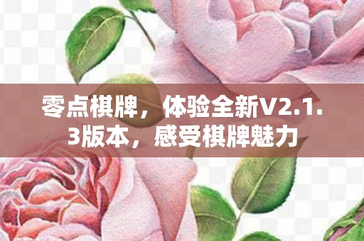 体验全新V2图片