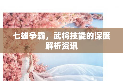 武将技能的深度解析资讯图片