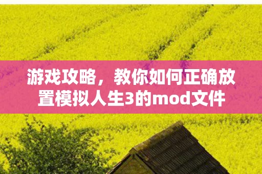 教你如何正确放置模拟人生3的mod文件图片