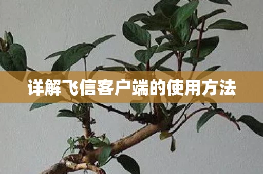 详解飞信客户端的使用方法图片