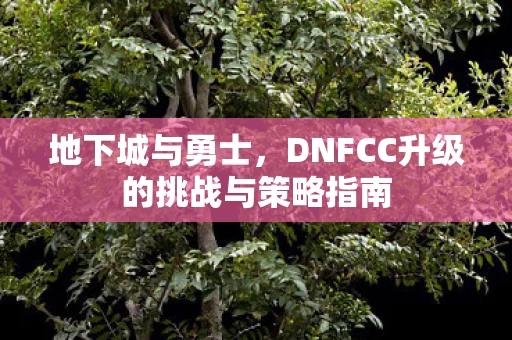 DNFCC升级的挑战与策略指南图片
