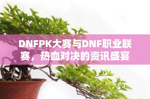 DNFPK大赛与DNF职业联赛图片
