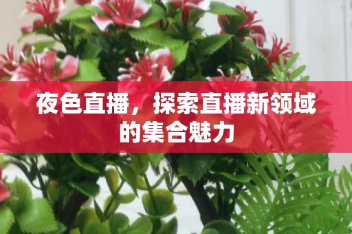 探索直播新领域的集合魅力图片