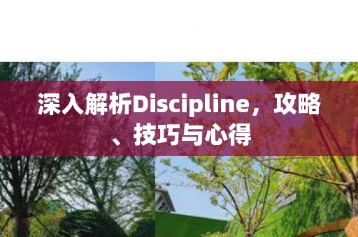 深入解析Discipline图片