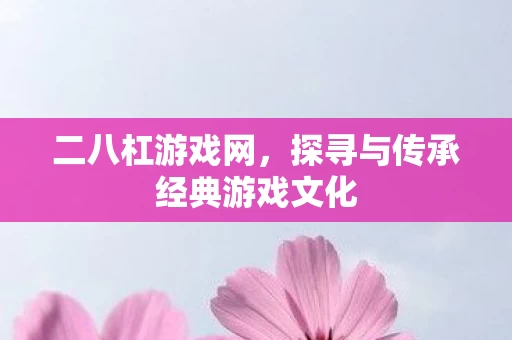 探寻与传承经典游戏文化图片