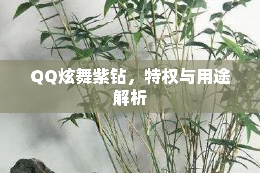 特权与用途解析图片