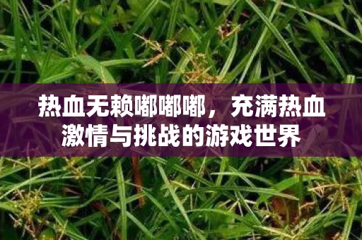 充满热血激情与挑战的游戏世界图片
