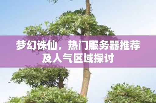 热门服务器推荐及人气区域探讨图片