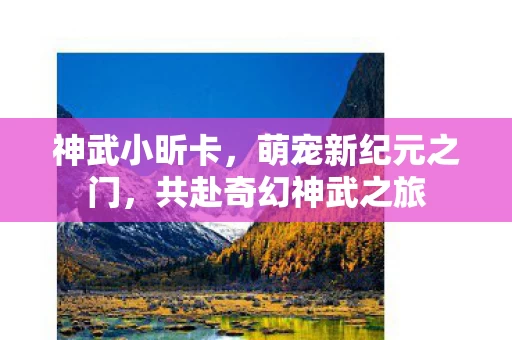 共赴奇幻神武之旅图片