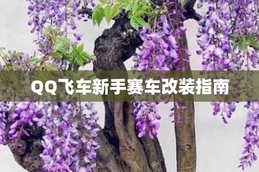QQ飞车新手赛车改装指南图片