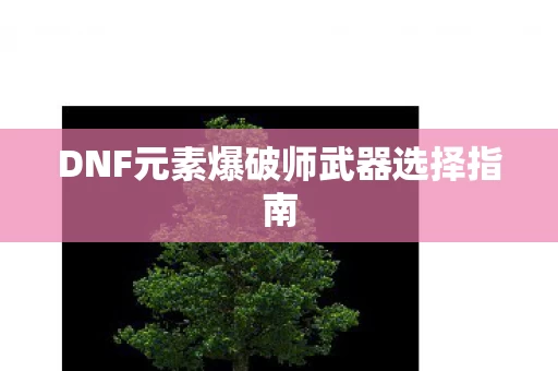 DNF元素爆破师武器选择指南图片