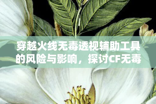 穿越火线无毒透视辅助工具的风险与影响图片