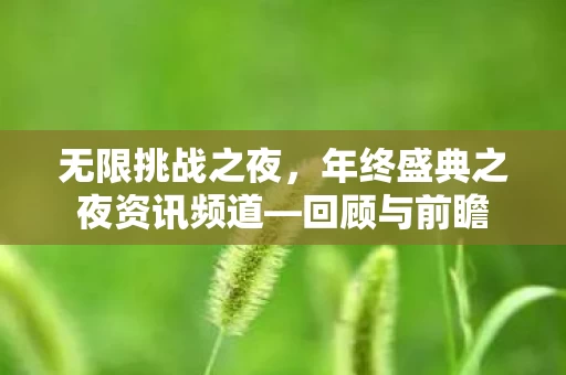 年终盛典之夜资讯频道图片