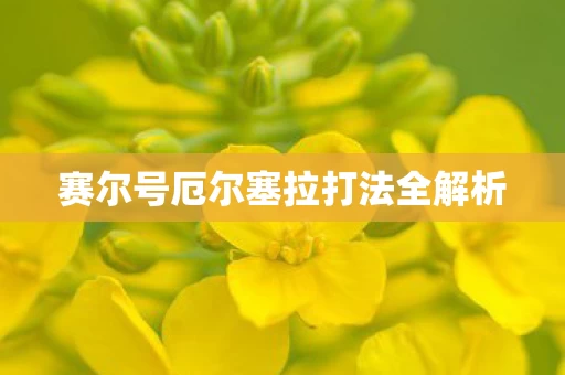 赛尔号厄尔塞拉打法全解析图片