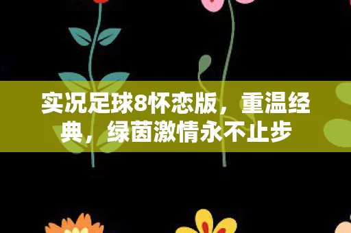 实况足球8怀恋版图片