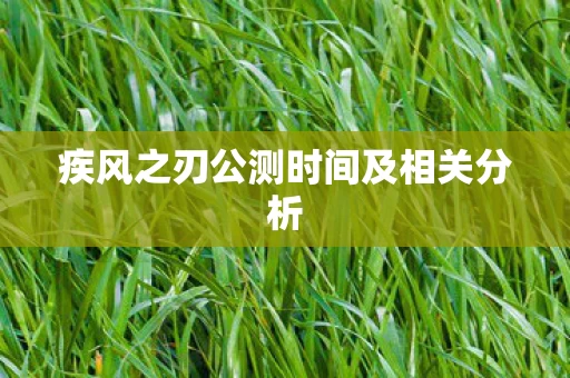 疾风之刃公测时间及相关分析图片