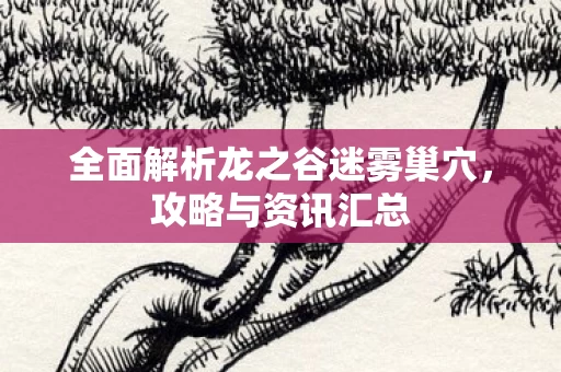 全面解析龙之谷迷雾巢穴图片