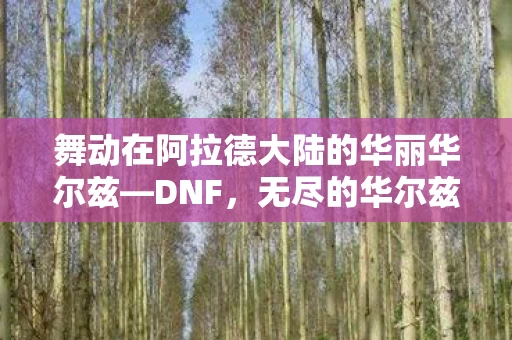 舞动在阿拉德大陆的华丽华尔兹图片