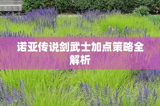 诺亚传说剑武士加点策略全解析图片