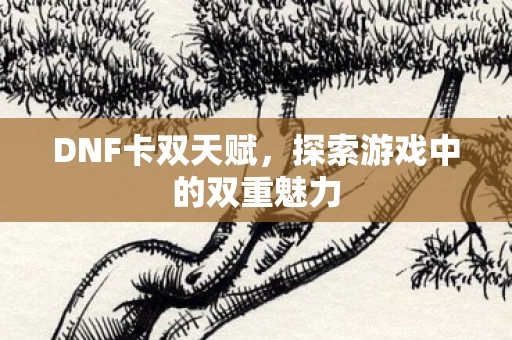 探索游戏中的双重魅力图片
