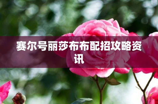 赛尔号丽莎布布配招攻略资讯图片