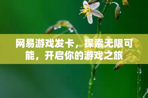 开启你的游戏之旅图片