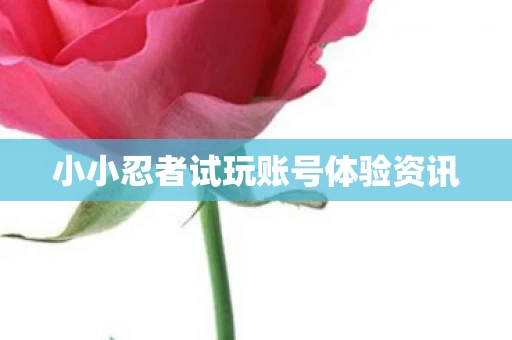 小小忍者试玩账号体验资讯图片
