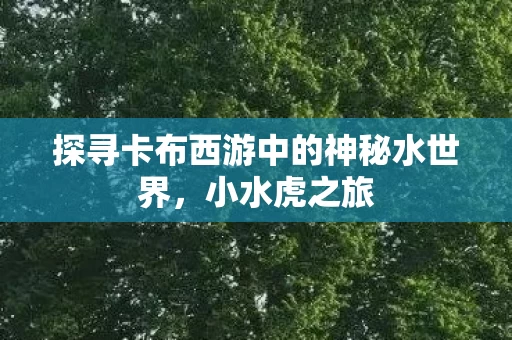 探寻卡布西游中的神秘水世界图片