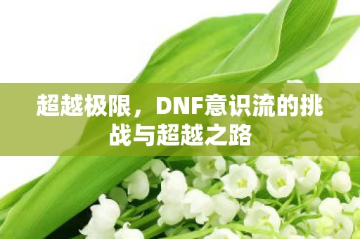 DNF意识流的挑战与超越之路图片