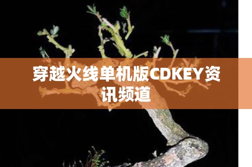 穿越火线单机版CDKEY资讯频道图片