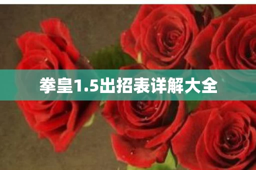 5出招表详解大全图片
