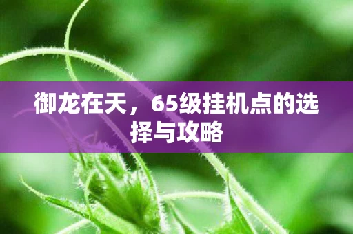 65级挂机点的选择与攻略图片