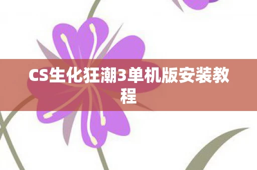 CS生化狂潮3单机版安装教程图片