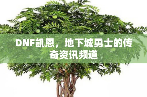 地下城勇士的传奇资讯频道图片