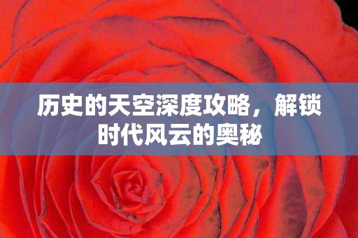 历史的天空深度攻略图片
