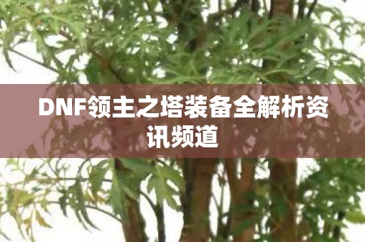 DNF领主之塔装备全解析资讯频道图片