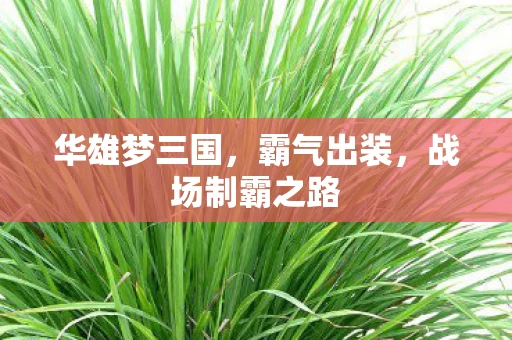 战场制霸之路图片