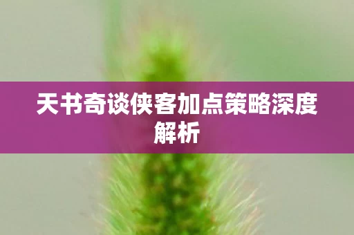 天书奇谈侠客加点策略深度解析图片