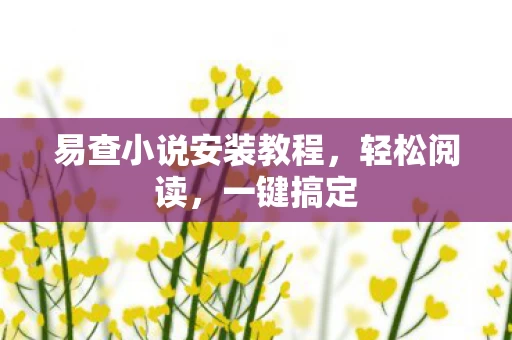 易查小说安装教程图片