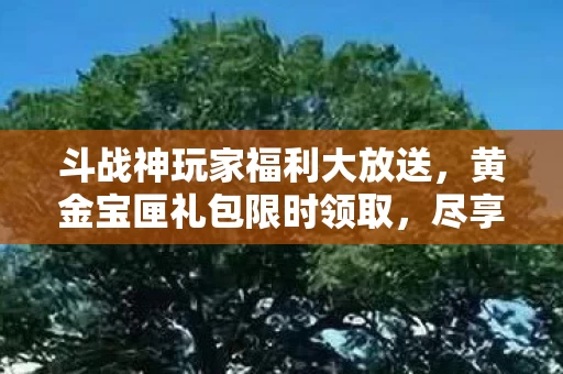 斗战神玩家福利大放送图片