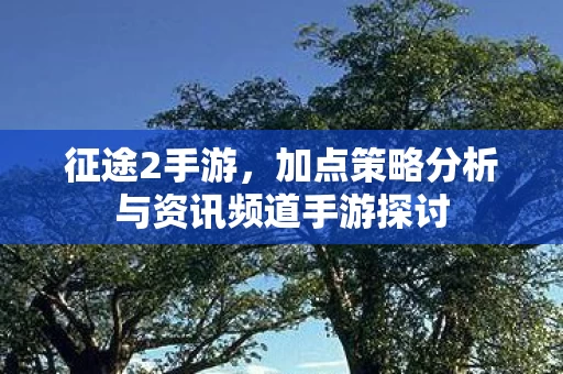 加点策略分析与资讯频道手游探讨图片
