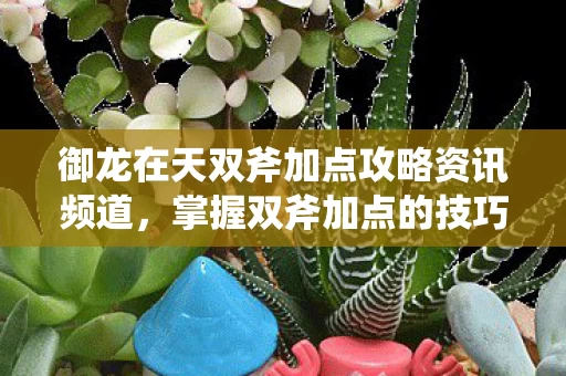 御龙在天双斧加点攻略资讯频道图片