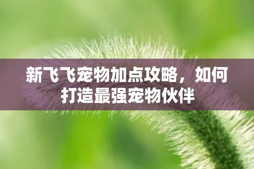 如何打造最强宠物伙伴图片