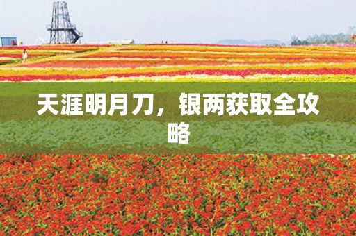 银两获取全攻略图片