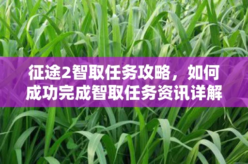 如何成功完成智取任务资讯详解图片