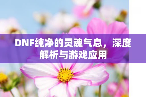 DNF纯净的灵魂气息图片