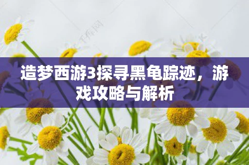 造梦西游3探寻黑龟踪迹图片