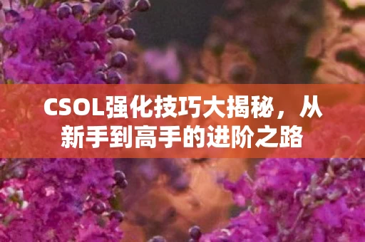 CSOL强化技巧大揭秘图片