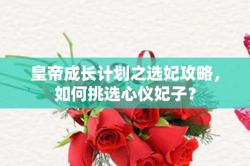 皇帝成长计划之选妃攻略图片